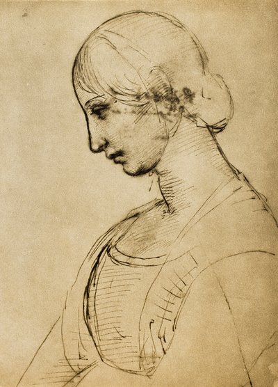 Studie für eine Magdalena (Zeichnung von Raphael) von Raffaello Sanzio Raphael